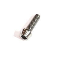 Profile Stem Bolt Titanium each (MTB Helm Face Plate)